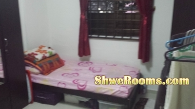 One lady roommate to share in Commmon room at Ang Mo Kio