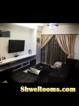 One Study room ( Male or Female ) & one male roommate for common room   at Jurong West St 71