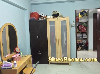 @Bishan-Looking For one female roommate for Short Term or Long Term