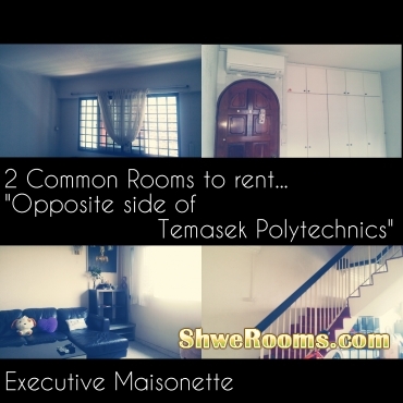 *(Long/Short Stay Available at Tampines )* HDB One Common Room to rent at Tampines st 81 (In front of Temasek Poly), Executive Maisonette