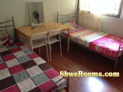 #LOOKING FOR MALE ROOM MATE AT NEAR ADMIRALTY#