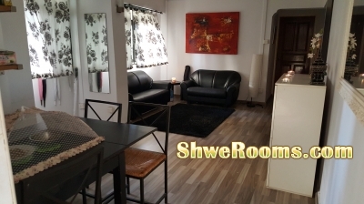 Commonroom for rent female only (near to Redhillmrt)
