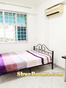 ^~^ Short/Long Term Aircon Common Room Aircon $800 per month/ $40 per for rent in near