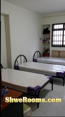 ***5 mins from Admiralty MRT*** Common Room for Short-term / lady roommate for master bedroom 