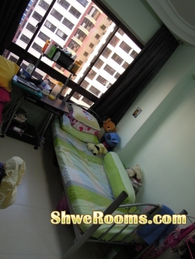 Looking for one female roommate (with aircon to rent)