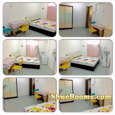 2 1 (Free style living) big common room $750 (own bath room with attached toilet ) for Rent at Ang Mo Kio Avenue 4 , Blk 114
