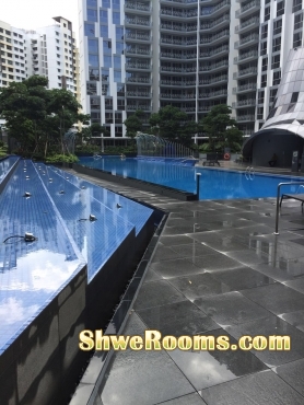 NEW 3 ROOM CONDO AT PUNGGOL FOR RENT