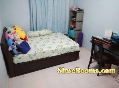 Nice & Clean Common room to rent  @ Clementi
