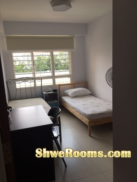 To rent a single room(lady only)near woodlands MRT $500 