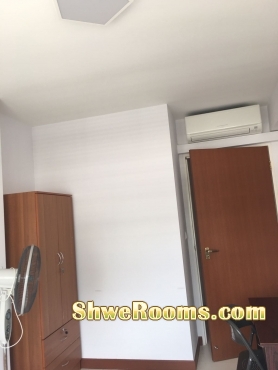 To rent a single room(lady only)near woodlands MRT $500
