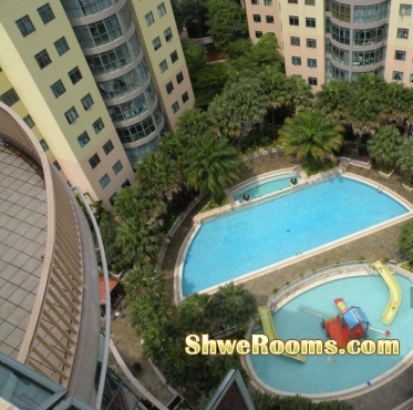 Common room to rent at Summerdal Condo