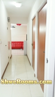 Casa Clementi - 1 Male to Share Room - Available