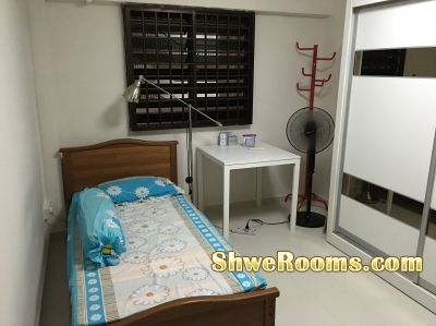 HDB room for rent at Dover crescent