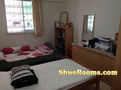 Looking for one lady roommate at Blk 153 near Yishun MRT