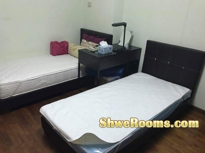 rent Common Room, Female room mate at Yew Tee MRT 