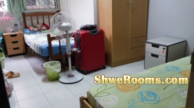 *** (short term) Common room to rent at Tampines Ave 5