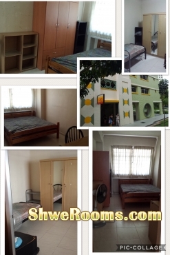 ***Common Room for Rent - 780/800S$***