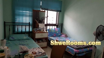 Common room for rent @Pioneer Mall