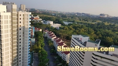 Spacious common room for rent (Jurong East MRT/Chinese Garden MRT)