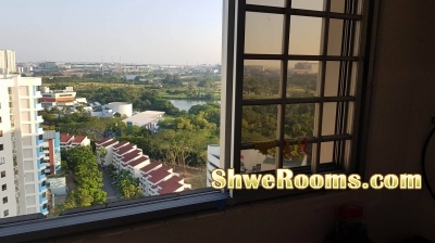 Spacious common room for rent (Jurong East MRT/Chinese Garden MRT)
