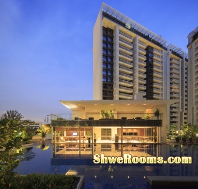  Room for rent @ Lake Front Residence Condo <Near MRT>