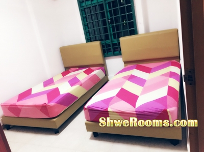 1 Lady available to share Common Room 1st Nov'17(S$350+ PUB) (2 Person share a romm)