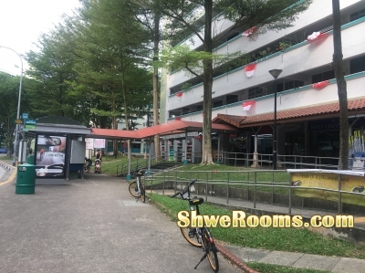 Room mate for Common Room @ Bukit Batok (Gombak place) famous location 
