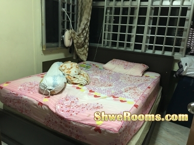 One lady roommate (MacPherson MRT)for common room
