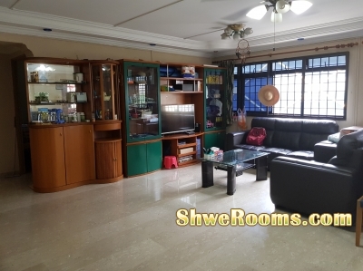 Looking for ONE LADY  room mate for a Master-Room at Admiralty