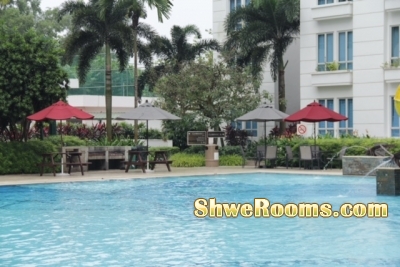 *Short term - CONDO Common room FULL Swimming Pool View near Admiralty MRT*