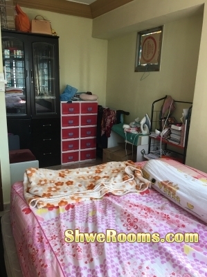 Available on Dec 2017: One Lady roommate in Common room at MacPherson - Balam Road