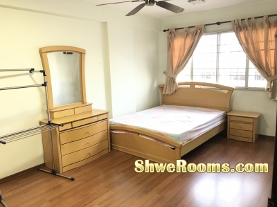 Common Room / Single Stay (á€¡á€™á€ºá€­á€³á€¸á€žá€™á€®á€¸á€žá€®á€¸á€žá€”á€¹á‚”)