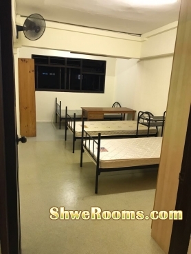 15th Feb !!! One Female & Two Males Available for Spacious Bedroom at Eunos