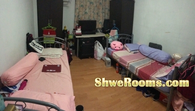 Common room with aircon @ Bishan (longterm/shortterm)