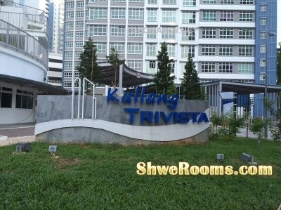 Kallang Trivista Common Room-Kallang MRT(5min)