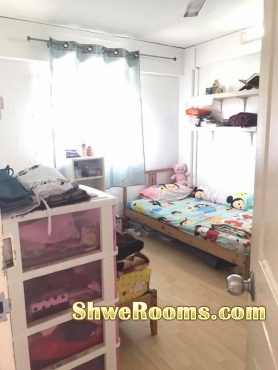 Common Room for Ladies to rent at Jln Bukit Merah - Tiong Bahru