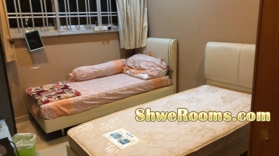 one bed space available for a lady at blk 116 simei bear simei mrt