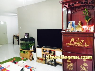 ###1 male room mate to share common room-350