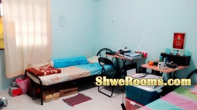 One male roommate to share common room near Admiralty Mrt 