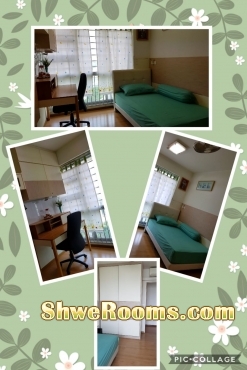 One common room for rent@Casa Clementi