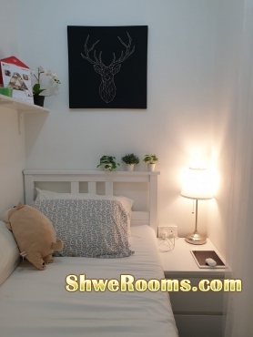 Condo single Room (Utilities Room) for male