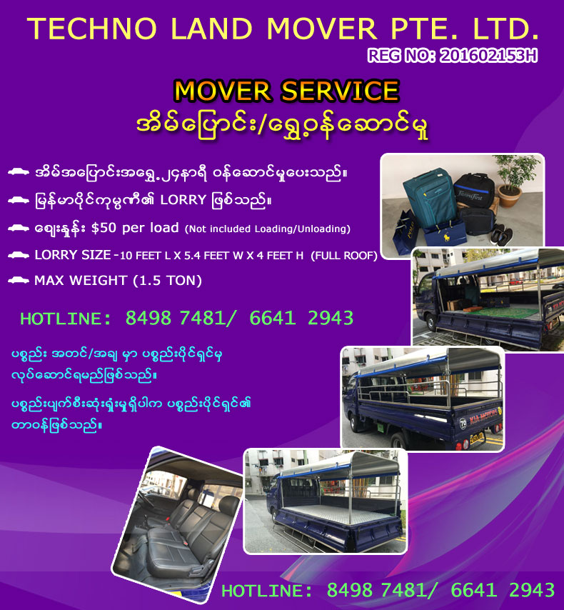 Technoland Mover Service