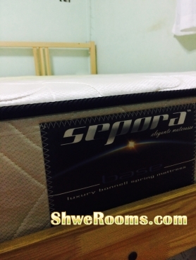 Bed frame and Mattress for sale (Used)
