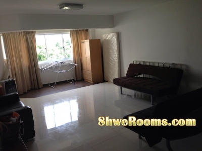 <<<____  Two same newly Classic (Sofa Beds) for Sale ____>>>