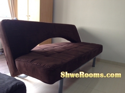 <<<____  Two Newly Same Sofa Beds  for Sale ____>>>