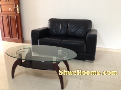 <<<____  Two Newly Same Sofa Beds  for Sale ____>>>