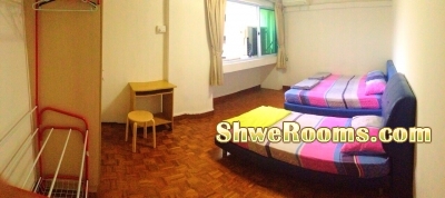 <___ Moving out Furniture Metal beds with Cheap Price  ____>