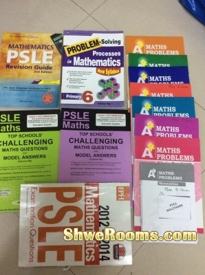 Primary 6 maths practice books