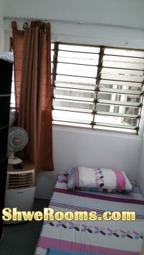 <___  Moving out Furniture with Cheap Price  ____>