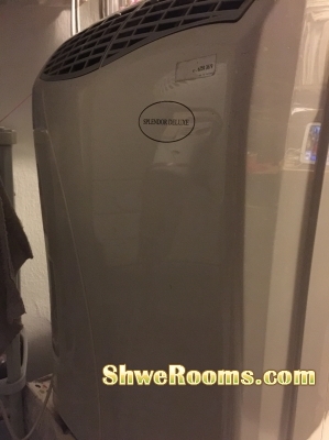 Clearance sale at cheap price